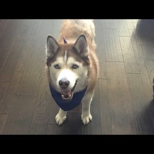 Meet your Posher, Kent